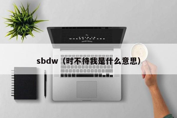 sbdw（时不待我是什么意思）