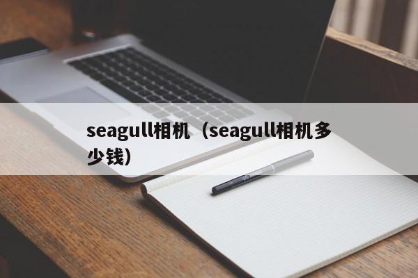 seagull相机（seagull相机多少钱）