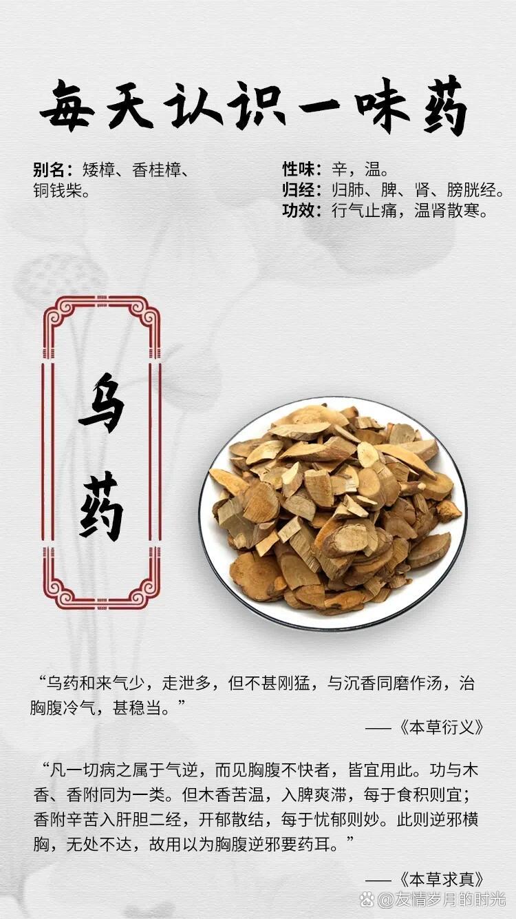 乌木的作用和功效-乌木的作用和功效禁忌