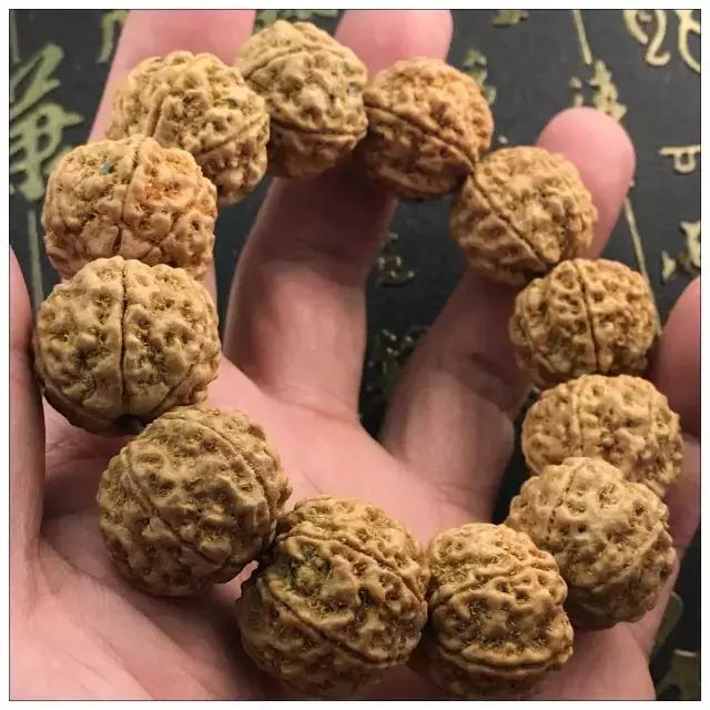 金刚菩提多少钱一串-5瓣金刚菩提多少钱一串