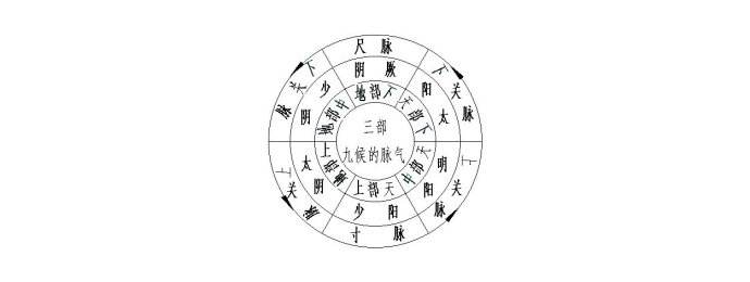 号脉多少画-号脉有多少种脉象