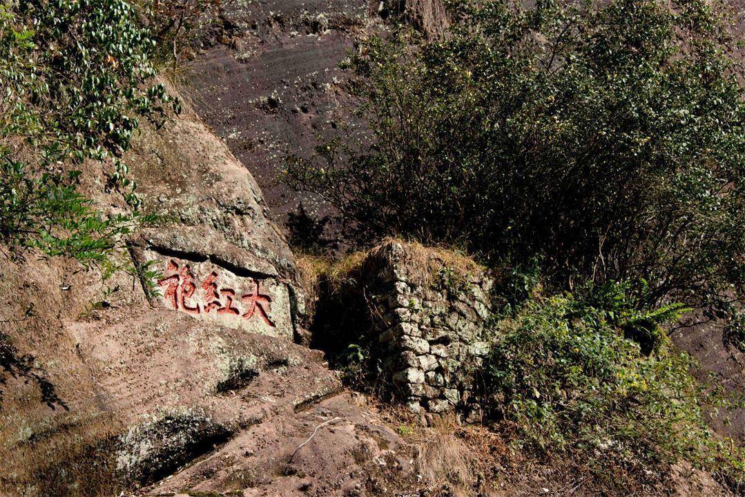 黄山迎客松值多少钱-黄山迎客松多少钱一包?