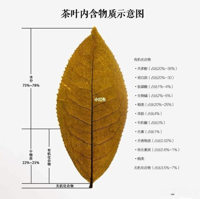 普洱茶有多少种-普洱茶有多少种香型