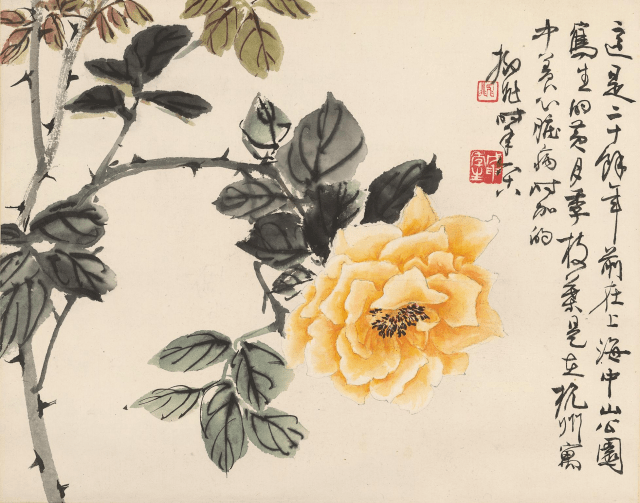 月季花字画-月季花写意画