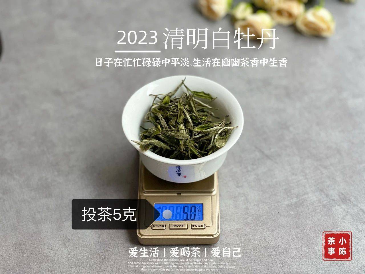 福鼎白茶价格和图片-福鼎老树白茶价格和图片