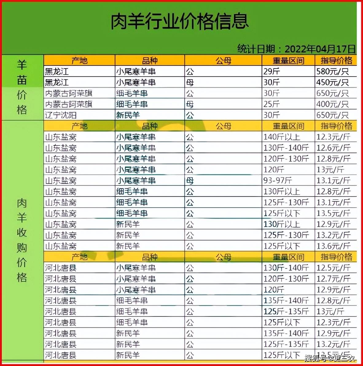 大羊价格-大羊多少钱一头